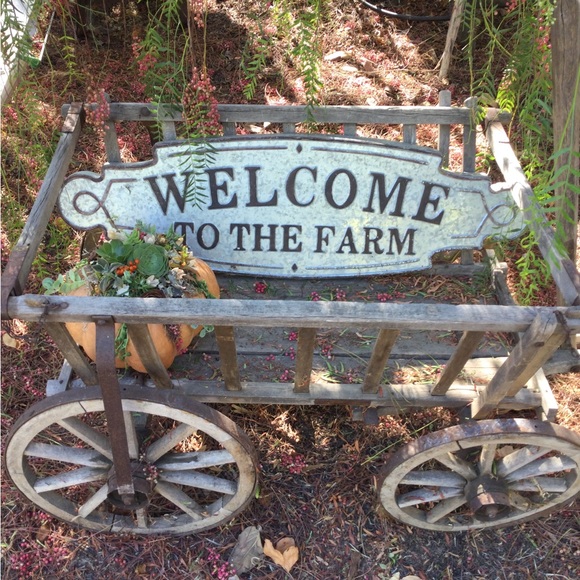 Meet your Posher, Christine - Picture 6 of 14